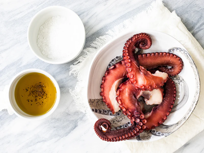 Octopus & Squid